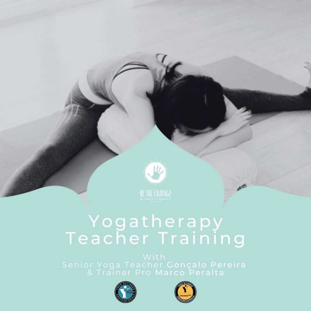 yogatherapy teacher trainning